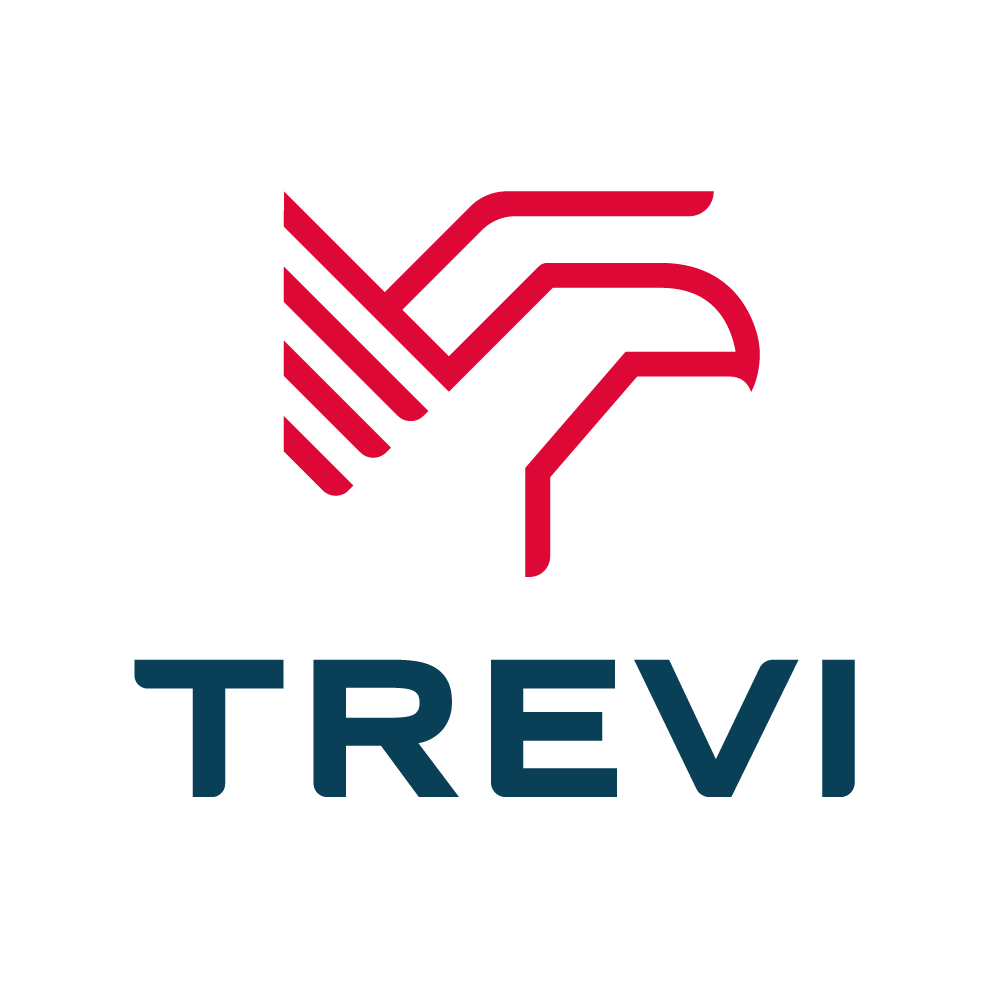 logo_trevi_invest_office:3059